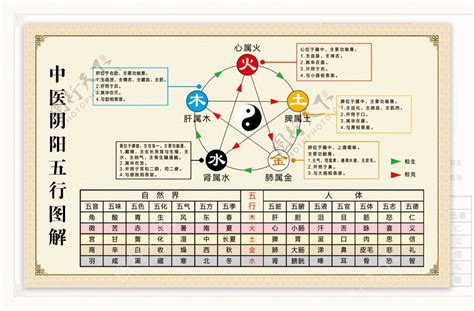 五行對應的器官